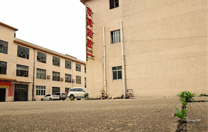 “論實力說話”專業硅膠制品廠家！