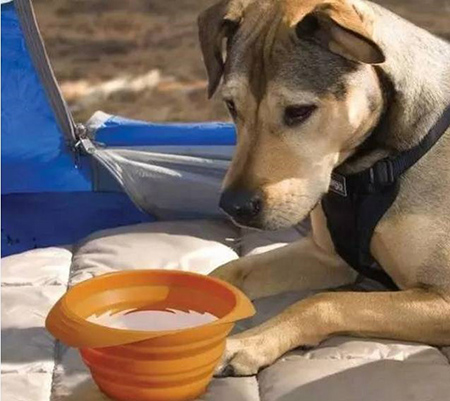 東莞<a href='http://m.donaldmcasey.com/' class='keys' title='點(diǎn)擊查看關(guān)于帝博硅膠制品廠的相關(guān)信息' target='_blank'>帝博硅膠制品廠</a>