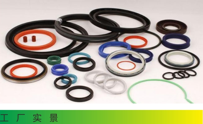 Silicon rubber sealing ring