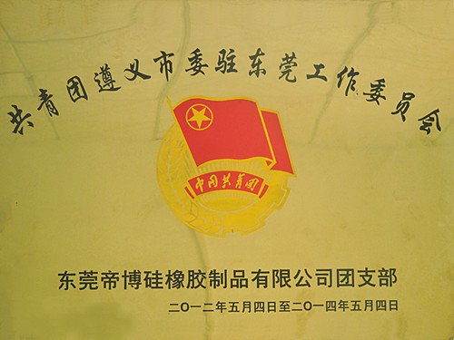 遵義市共青團駐東莞委員會