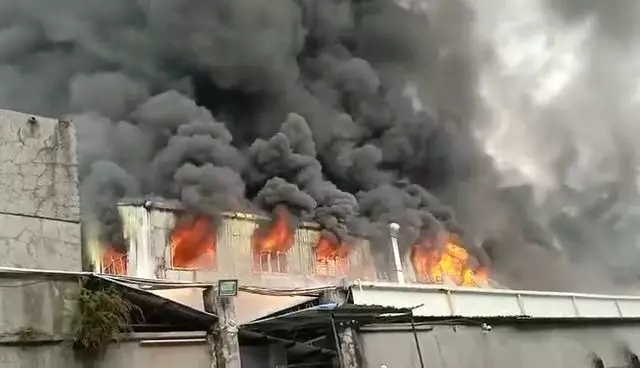 640 2(1).webp.jpg 640 2(1).webp.jpg