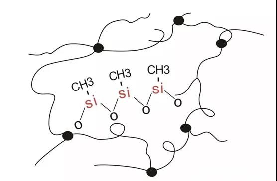 20191105140147_3130.jpg 20191105140147_3130.jpg